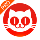 猫眼专业版app最新版2023下载
