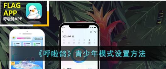 呼啦鸽怎么开启青少年模式 呼啦鸽设置青少年模式方法教程