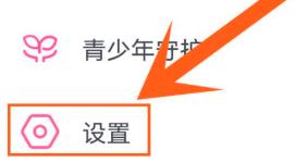 哔哩哔哩怎么使用画中画播放 哔哩哔哩使用画中画播放方法