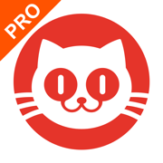 猫眼专业版app官方下载